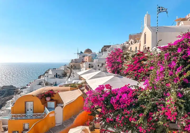 santorini oia colorful flowers and white houses of oia