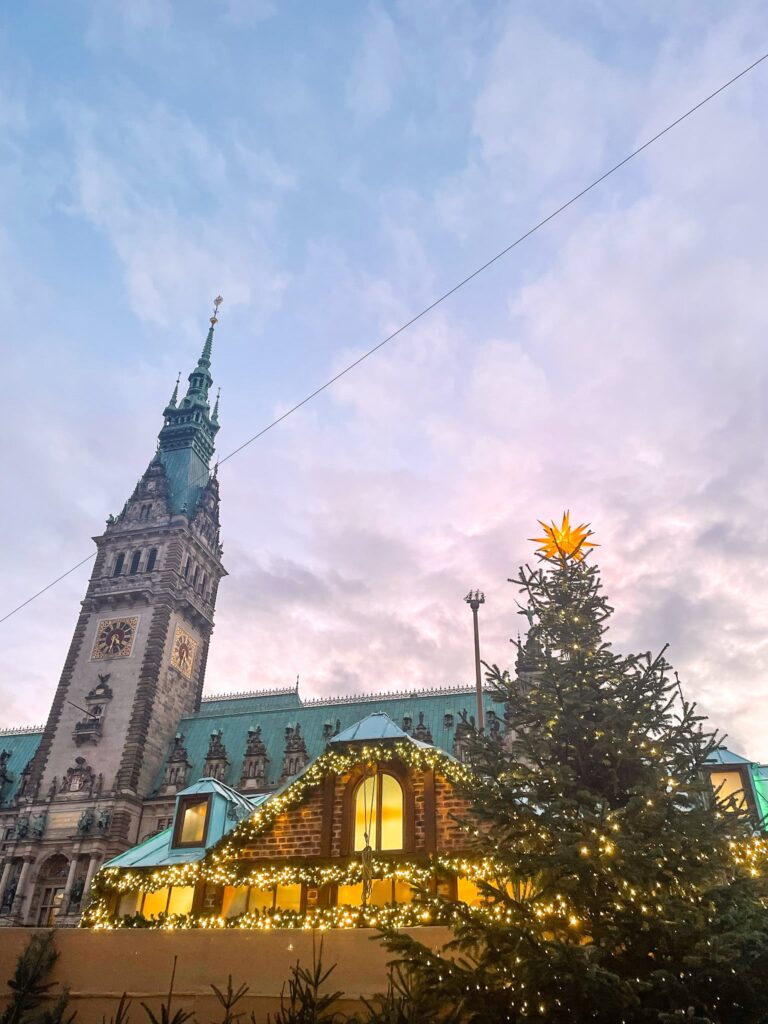 Hamburg town hall with Christmas tree in front