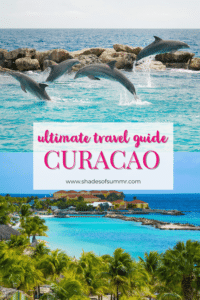 Pictures of the dolphin academy with text ultimate travel guide Curacao