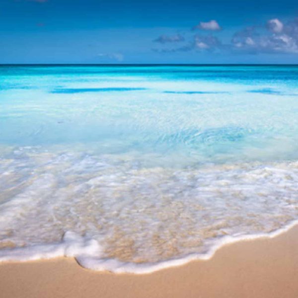 picture of a beach in bonaire in the dutch caribbean