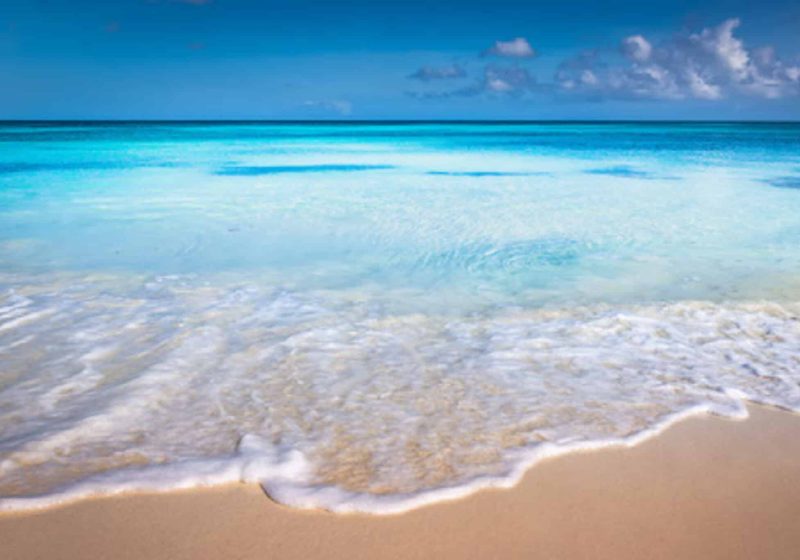 50 Best Things To Do in Bonaire for Non-Divers