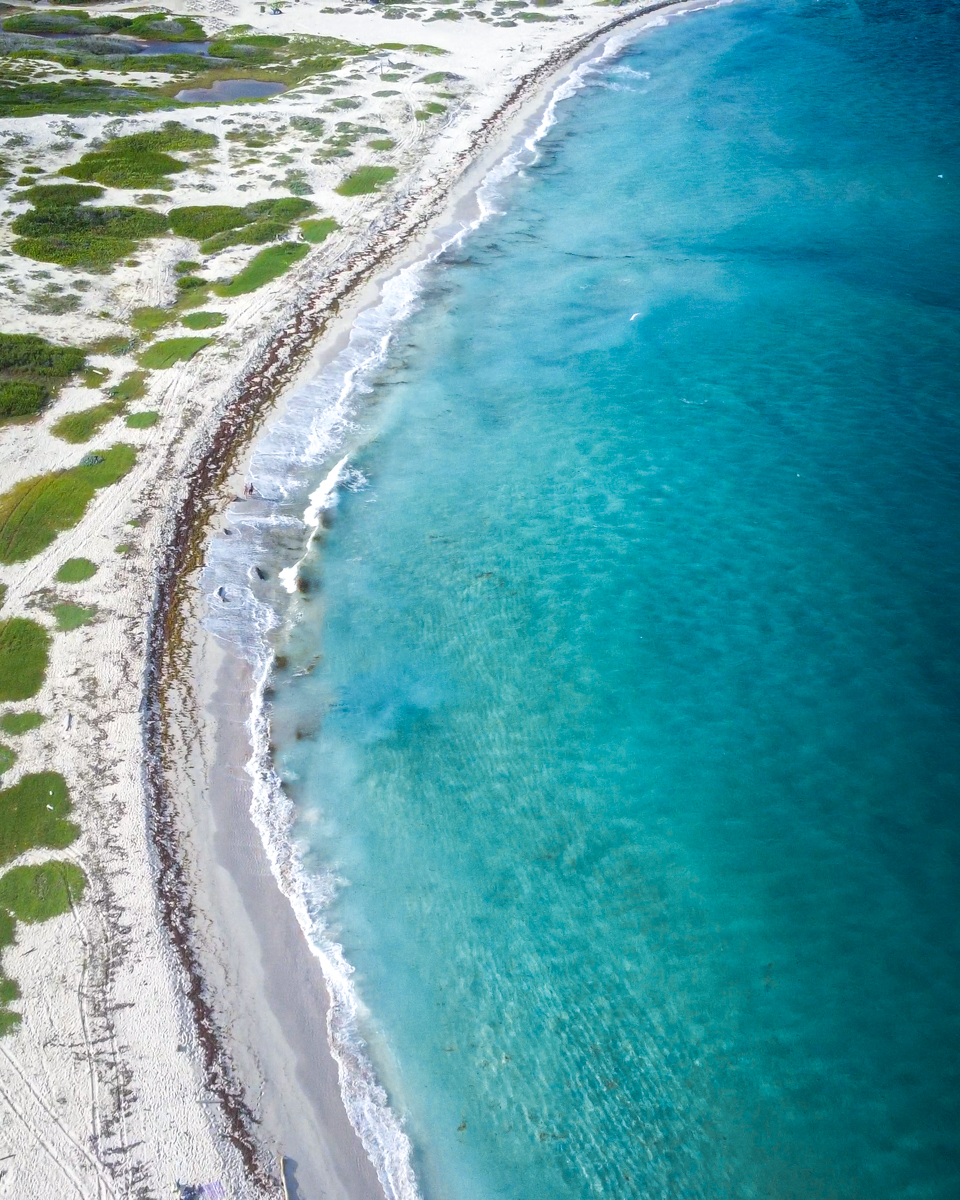 stunning drone shot of aruba coastline to compare to bonaire and curacao