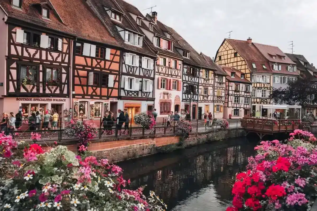 Stunning Little Venice in Colmar with flowers in front and typical half-timbered houses in the background behind a river. Summer is the perfect time to visit alsace for all the flowers and the outdoor seating as seen in the image