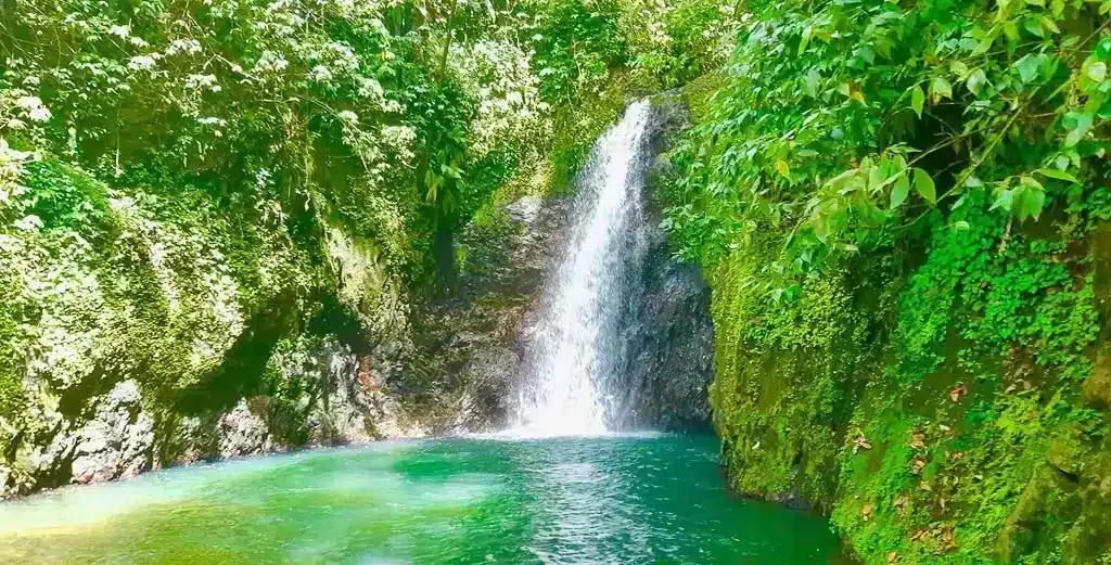 Lush green rainforest, waterfall in Grenada