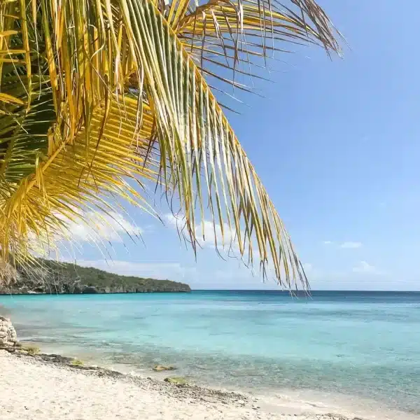 One Day in Curacao From Cruise Ship – Itinerary With Map