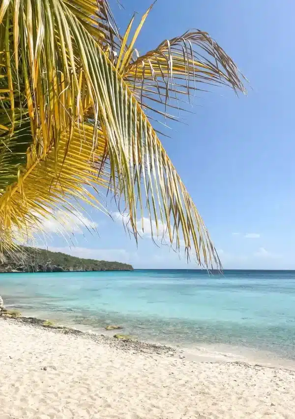 One Day in Curacao From Cruise Ship – Itinerary With Map