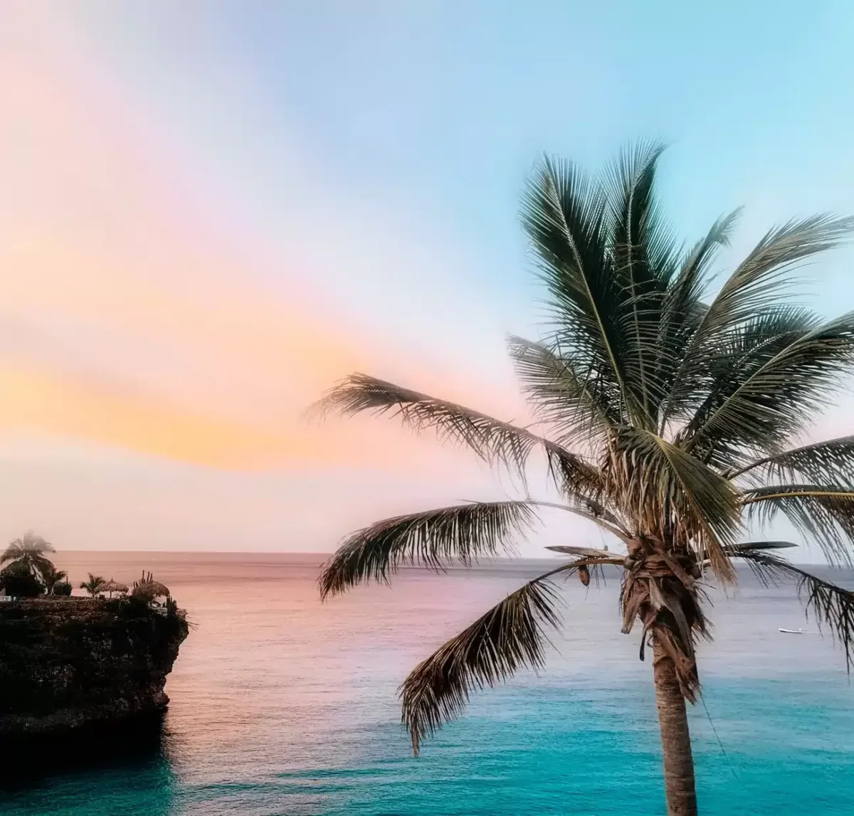 Sunset sky with beautiful colors of orange, pink and blue and palm tree in front and dark blue ocean in the background