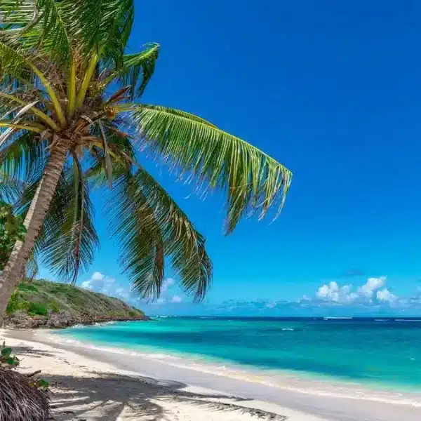 One Day in Aruba From Cruise Ship: Perfect Itinerary