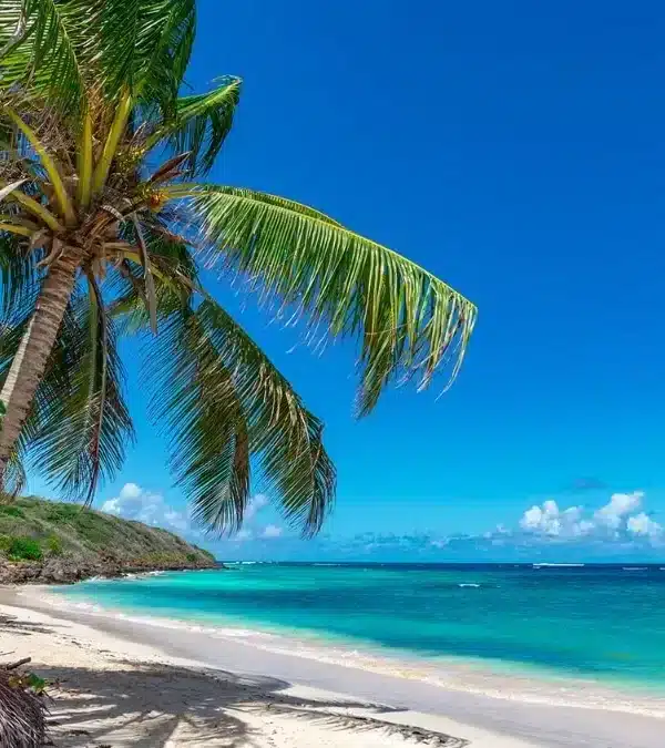 One Day in Aruba From Cruise Ship: Perfect Itinerary