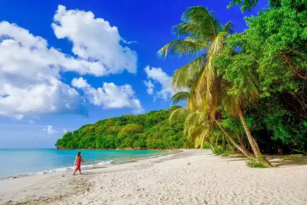 Girl walking on a tropical beach in front of palm trees towards rain forest in Providencia island
