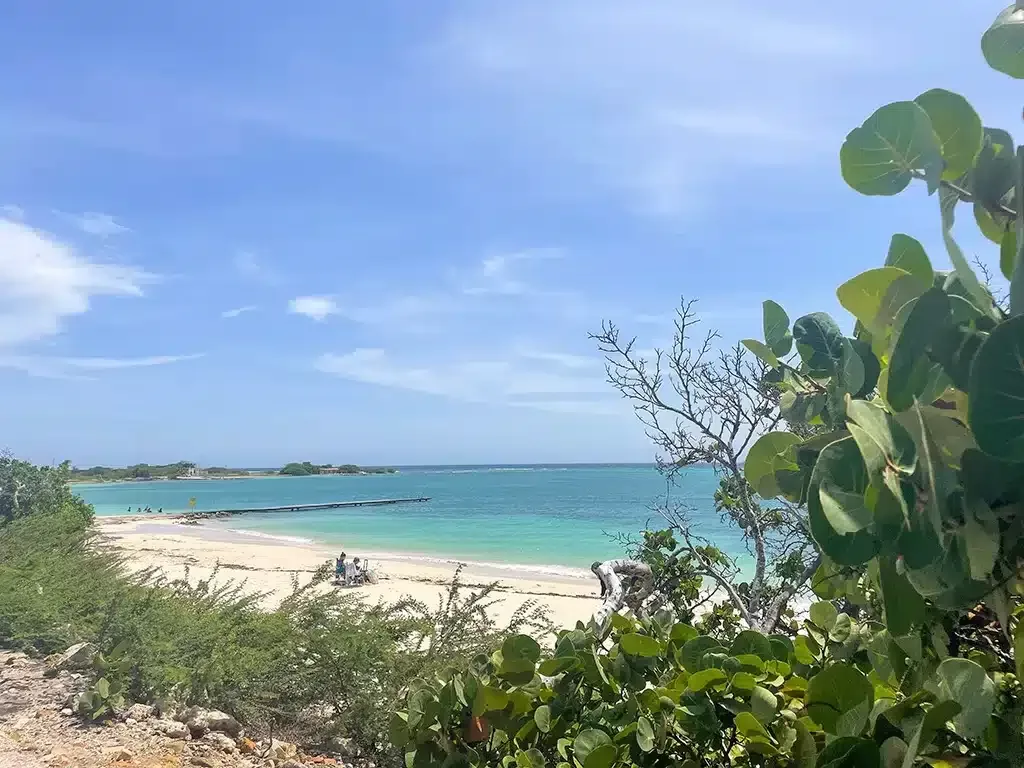 Aruba beach bay with beautiful white sandy beach