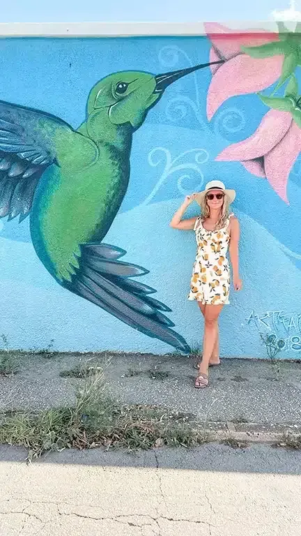 Author in a cute dress in front of wall with street art in Aruba