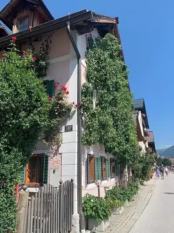 House in Hallstatt Austria covered in flowers 