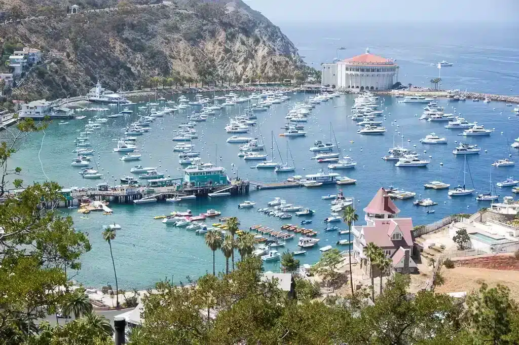 catalina island from above with lots of sail boats in the harbor