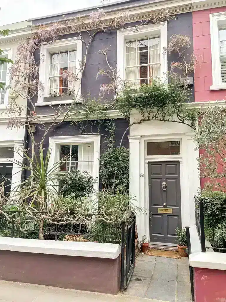 Wisteria in London hanging off a townhouse 