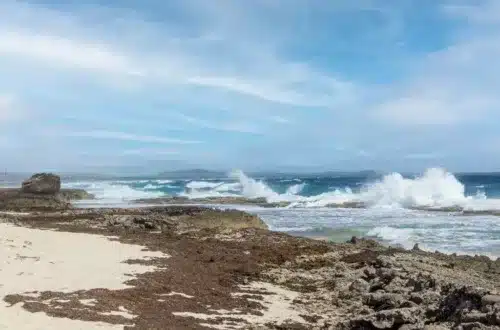Bonaire shore waves