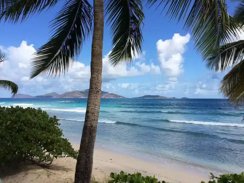 Picture of a beach in the British Virgin Islands with palm trees and blue ocean romantic Caribbean destination for couples 