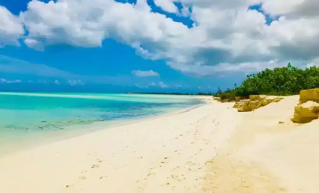 White sandy beach with crystal clear blue water romantic beach in Turks and Caicos Caribbean