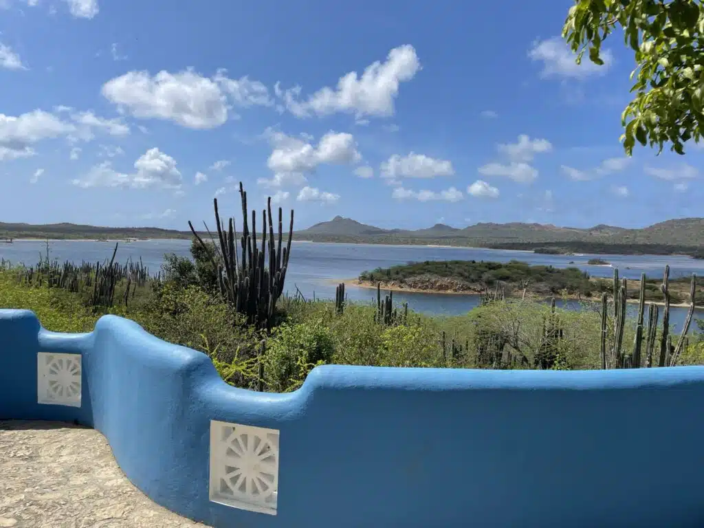 View in Bonaire from the Gotomeer Lake Viewpoint with beautiful cadushi cacti in front of salt lake