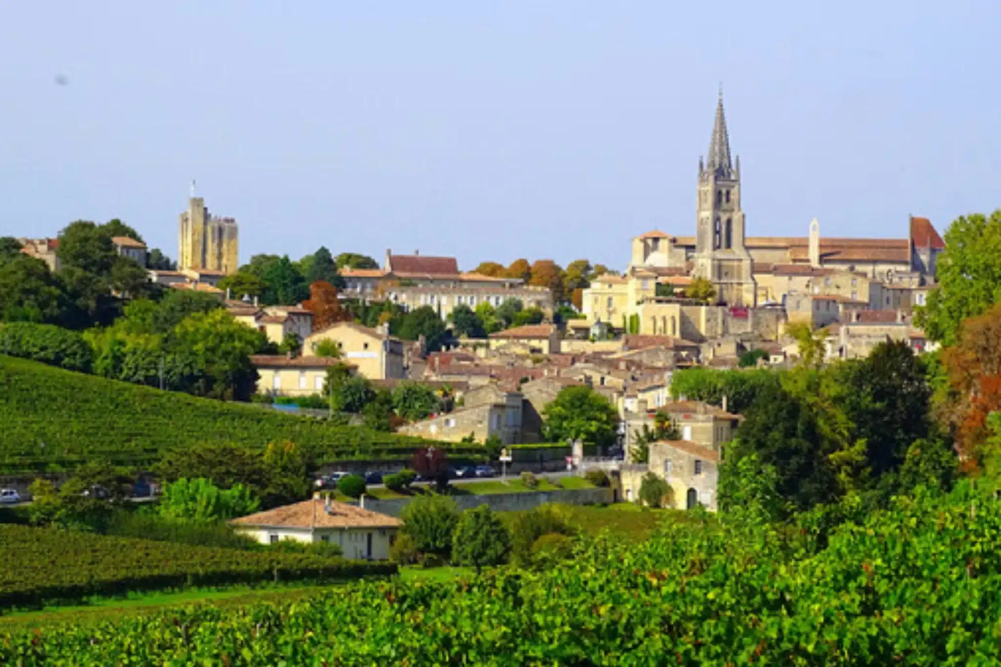 picture of wine village saint emilion in france with vineyards 
