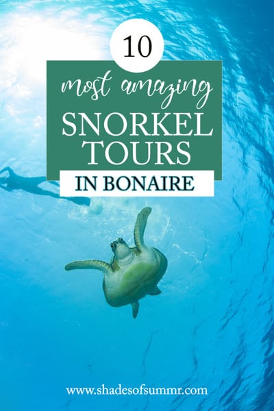 Picture of sea turtle with text 10 most amazing best snorkel tours in Bonaire