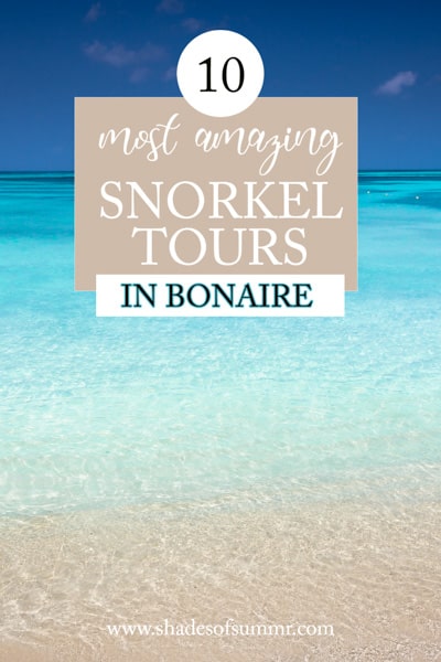 picture of tropical beach with text 10 most amazing snorkel tours in bonaire