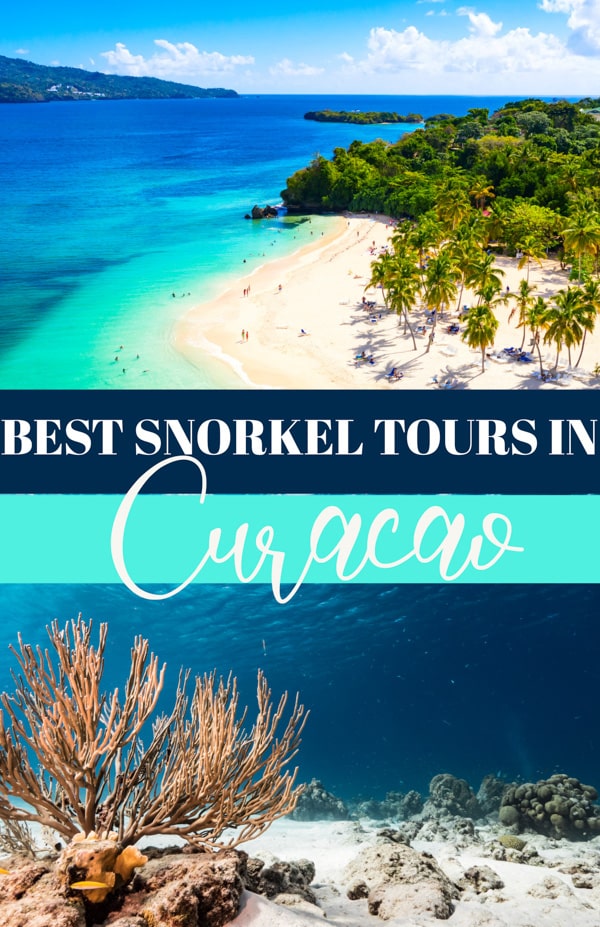 Best Snorkel Tours in Curacao Pin