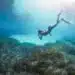 girl snorkeling in blue water of curacao
