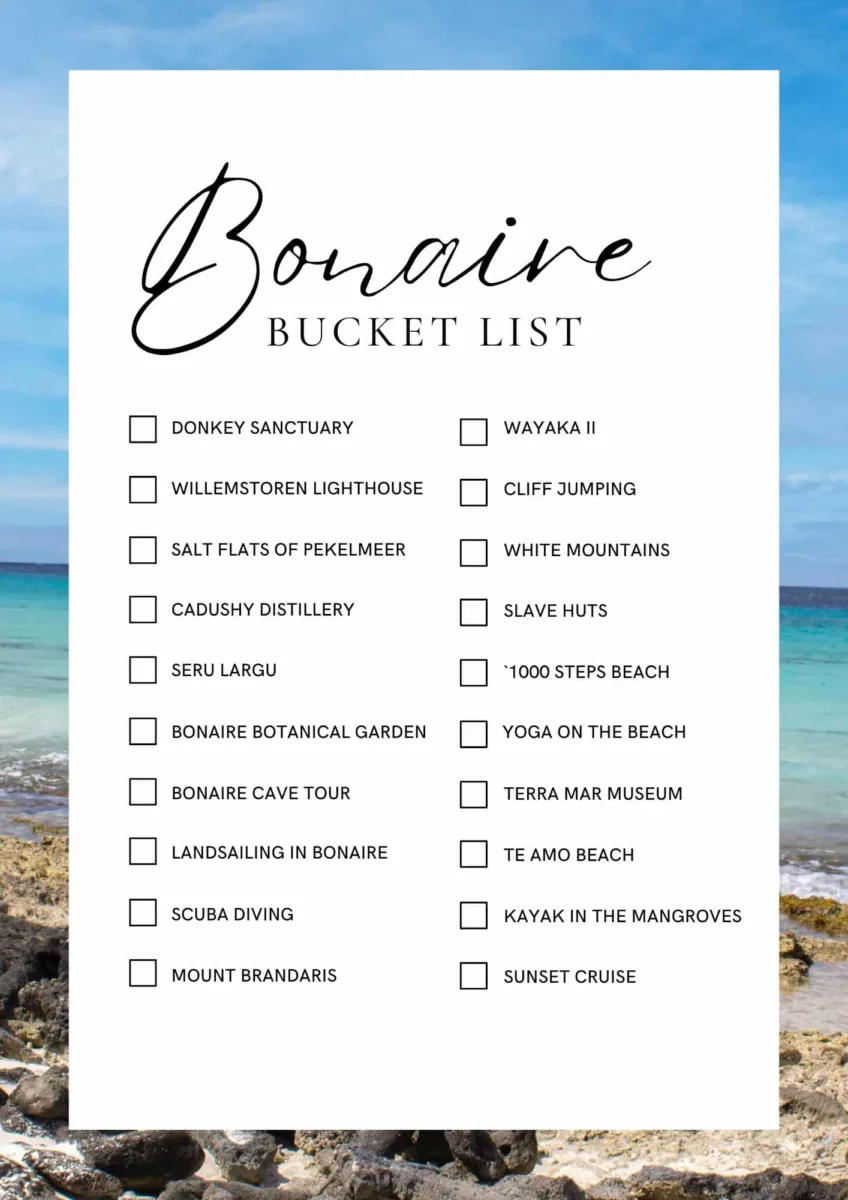 Bonaire Bucket List Things to do in Bonaire