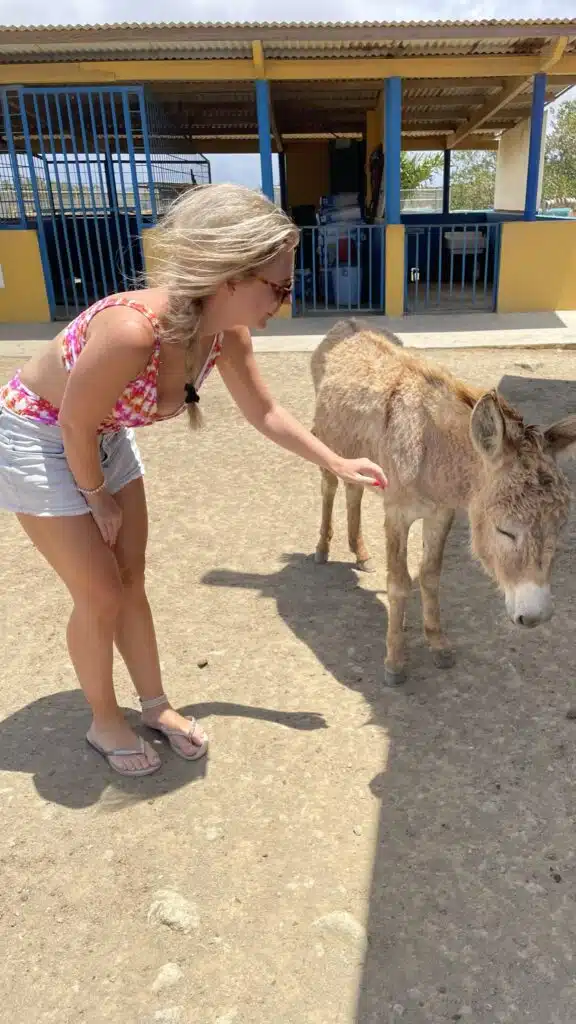 The author petting a donkey in the Bonaire donkey sanctuary