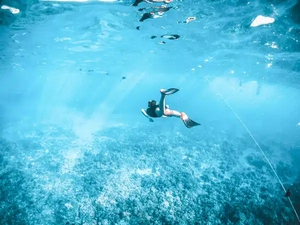 snorkeling in Bonaire underwater