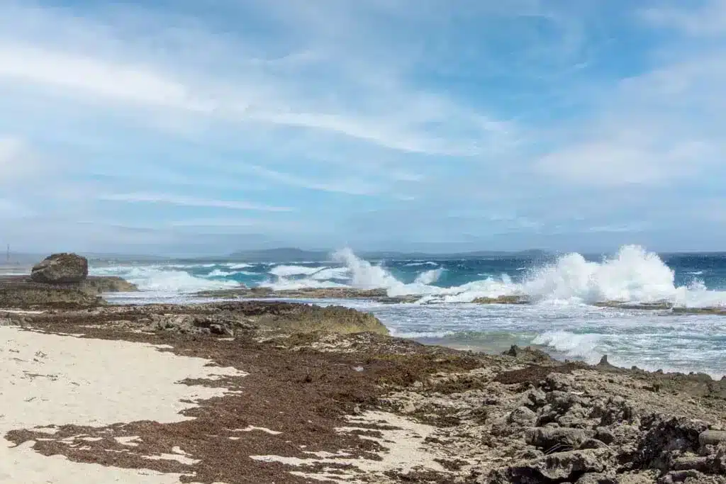 rocky beach in bonaire with big crashing waves