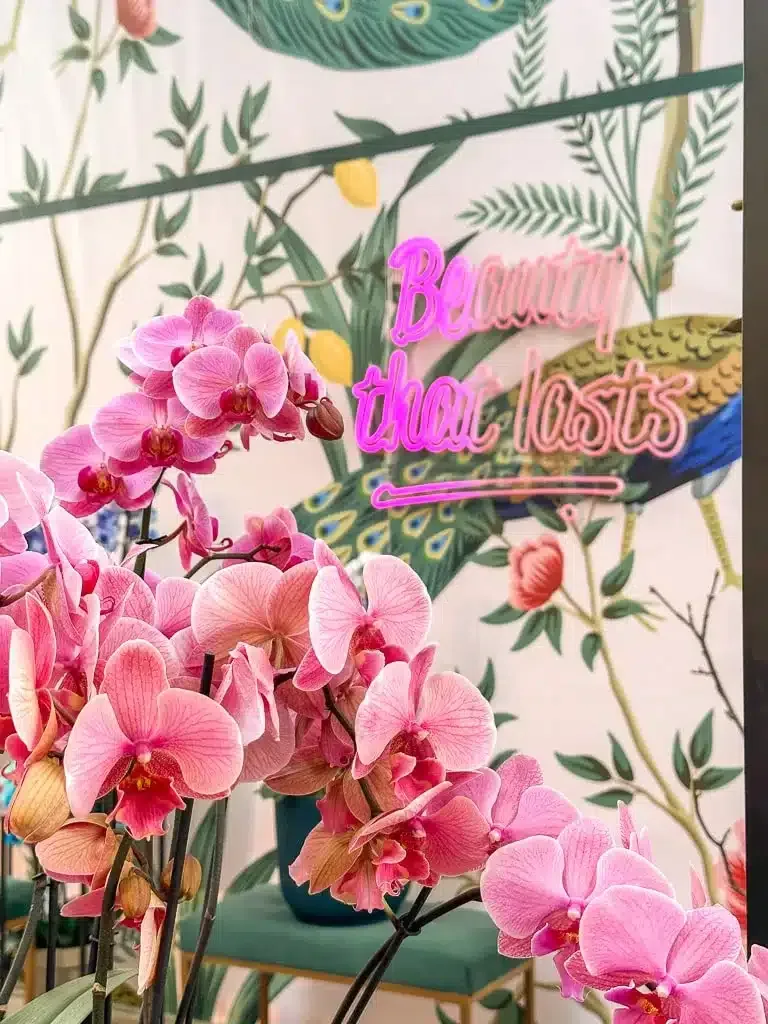 beautiful orchids in front of colorful wallpaper with neon signs
