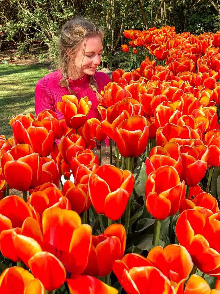 the author in the Keukenhof in an exhibition with flowers smelling orange tulips on the grass