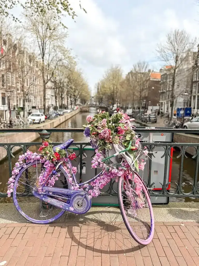 a colorful bike in amsterdam decorated with flowers in spring