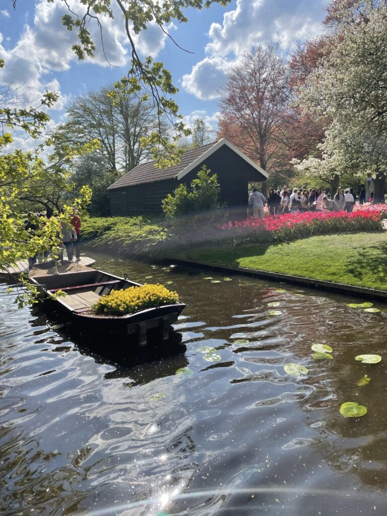 a boat next to a small field of tulips
