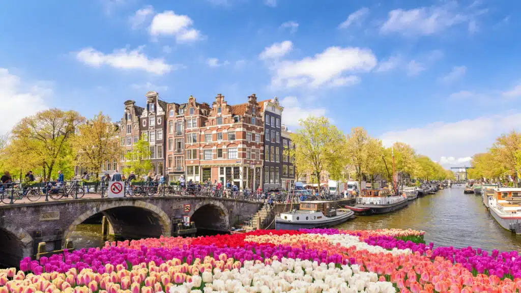 amsterdam in spring with tulips