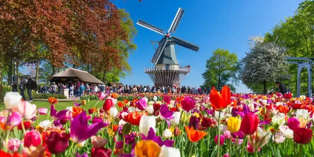 keukenhof windmill