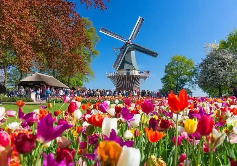 keukenhof windmill
