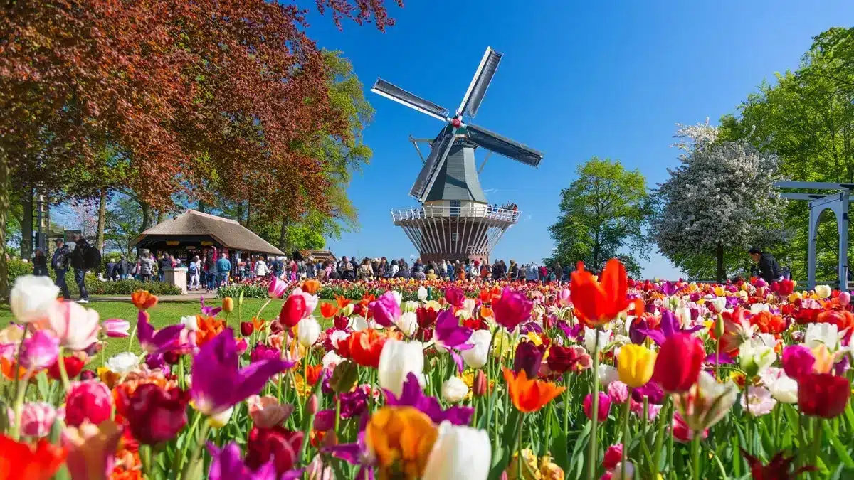 keukenhof windmill with lots of flowers and many tourists