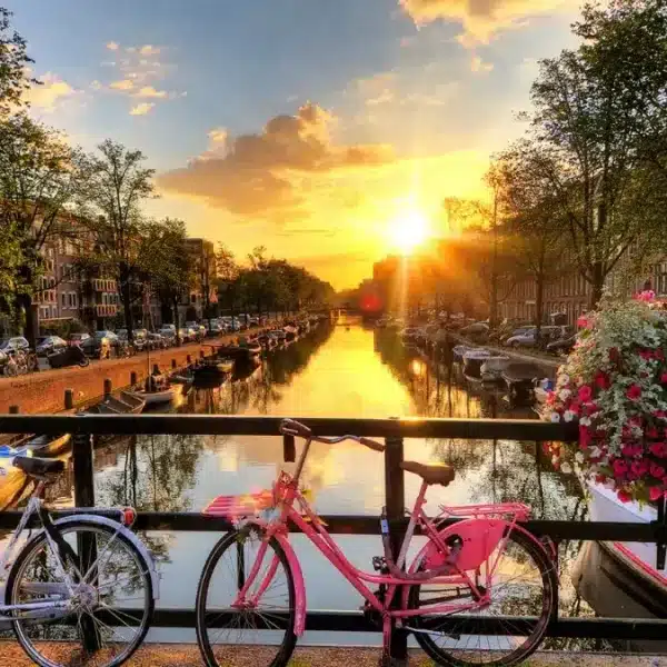 Amsterdam in Spring: Tulips, Festivals and Attractions