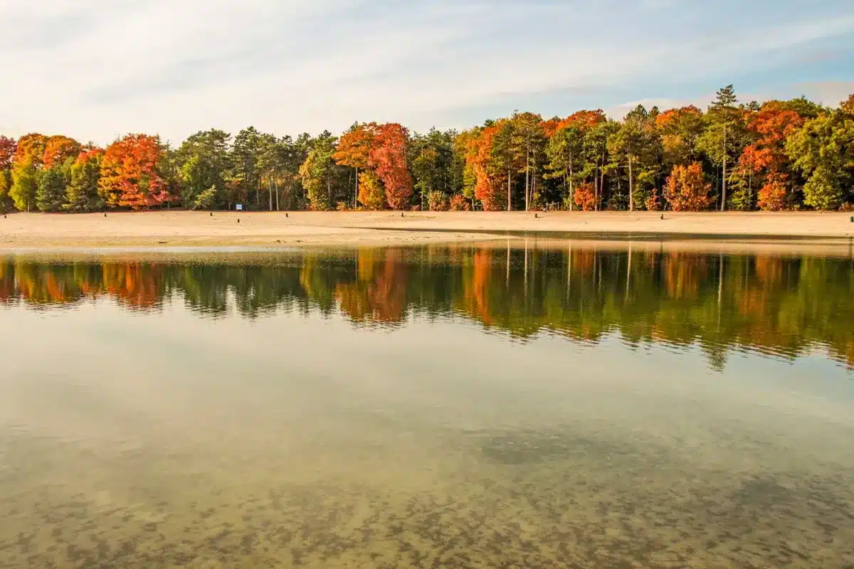 lake with fall foliage in the background in ruinen in drenthe best weekend getaway from Amsterdam 