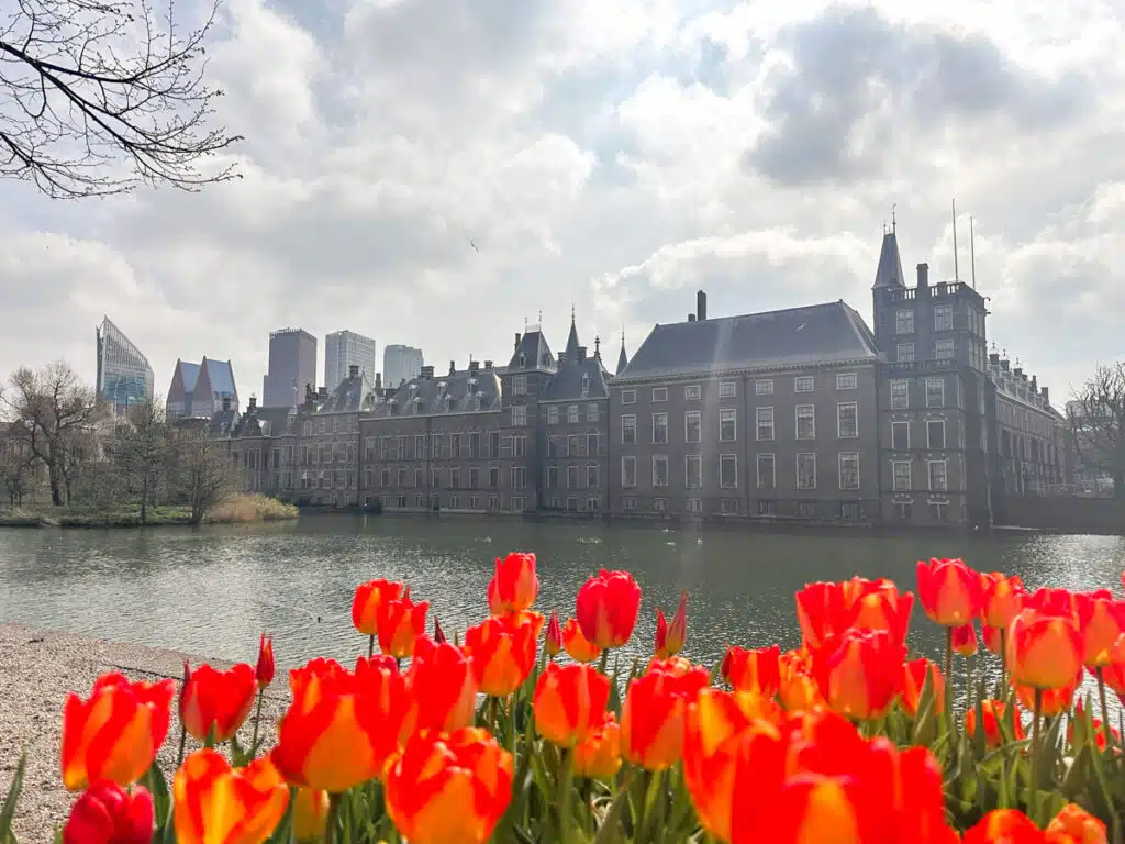 Binnenhof The Hague with tulips in front of it
