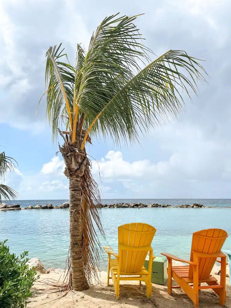 palm trees and colorful chairs in curacao