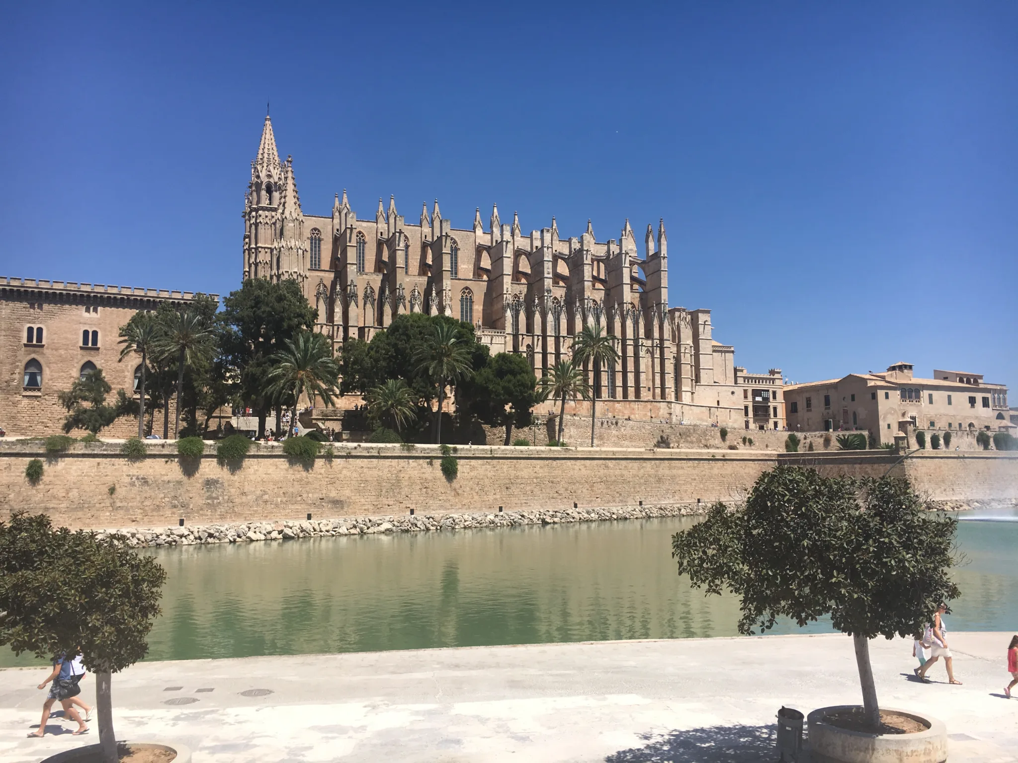 beautiful cathedral of palma de mallorca with some water in the foreground
