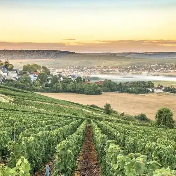 Ultimate 3 Days in Champagne Region Itinerary