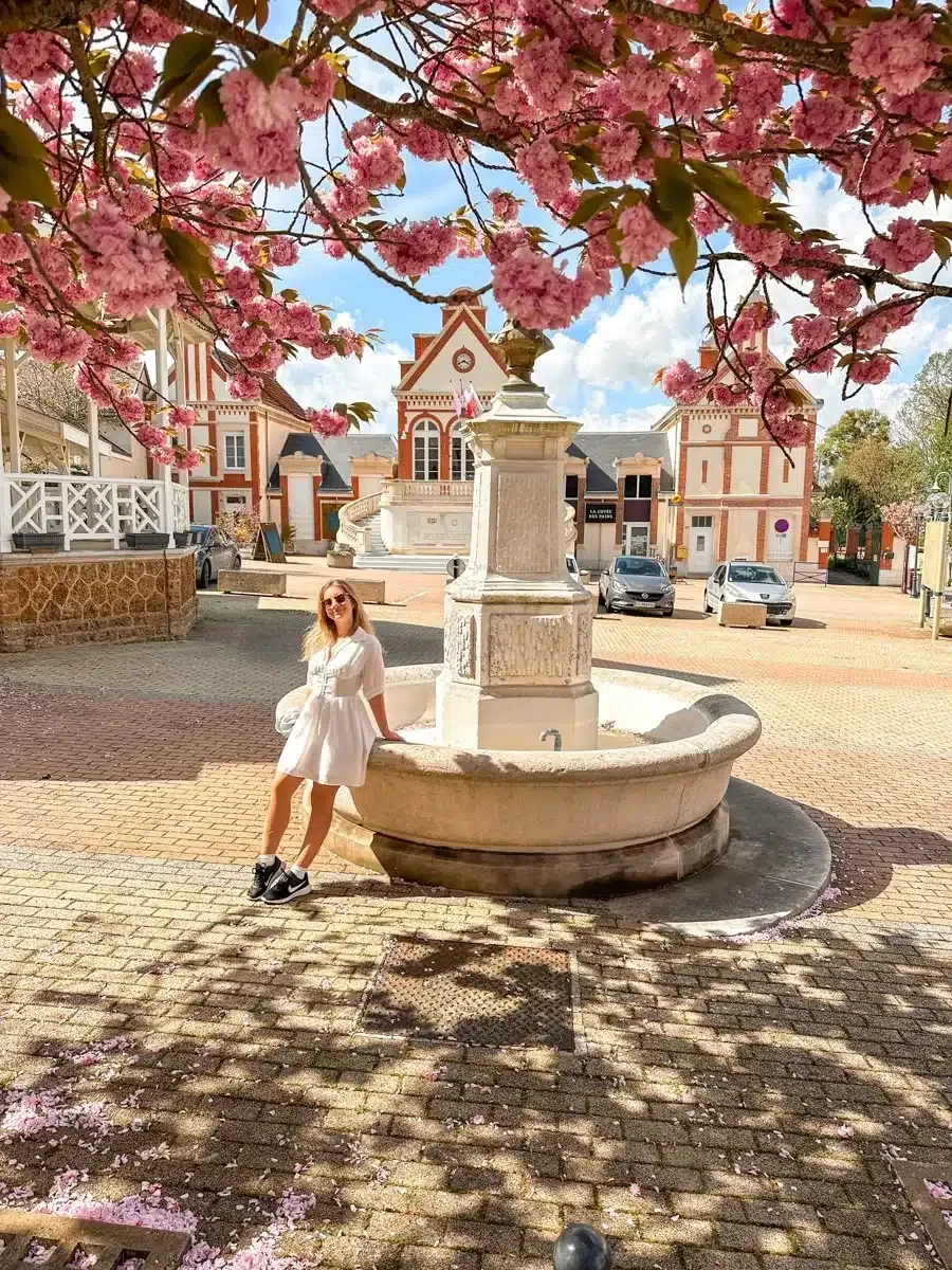 the author on a fountain in village chigny les roses with beautiful cherry blossom 