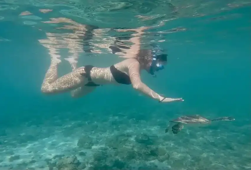 the author in Curacao snorkeling with sea turtles from a boat trip