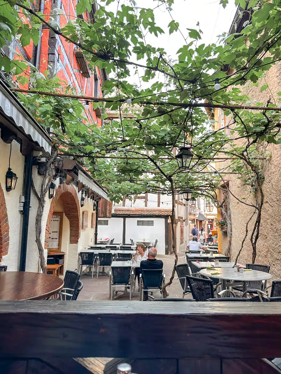 outdoor seating in a restaurant in alsace with vine covered ceiling showing that the perfect time to go to alsace is summer