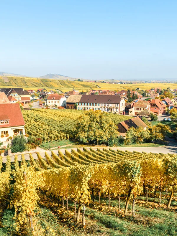 A Seasonal Guide to Alsace: Best Time To Visit, Weather & More